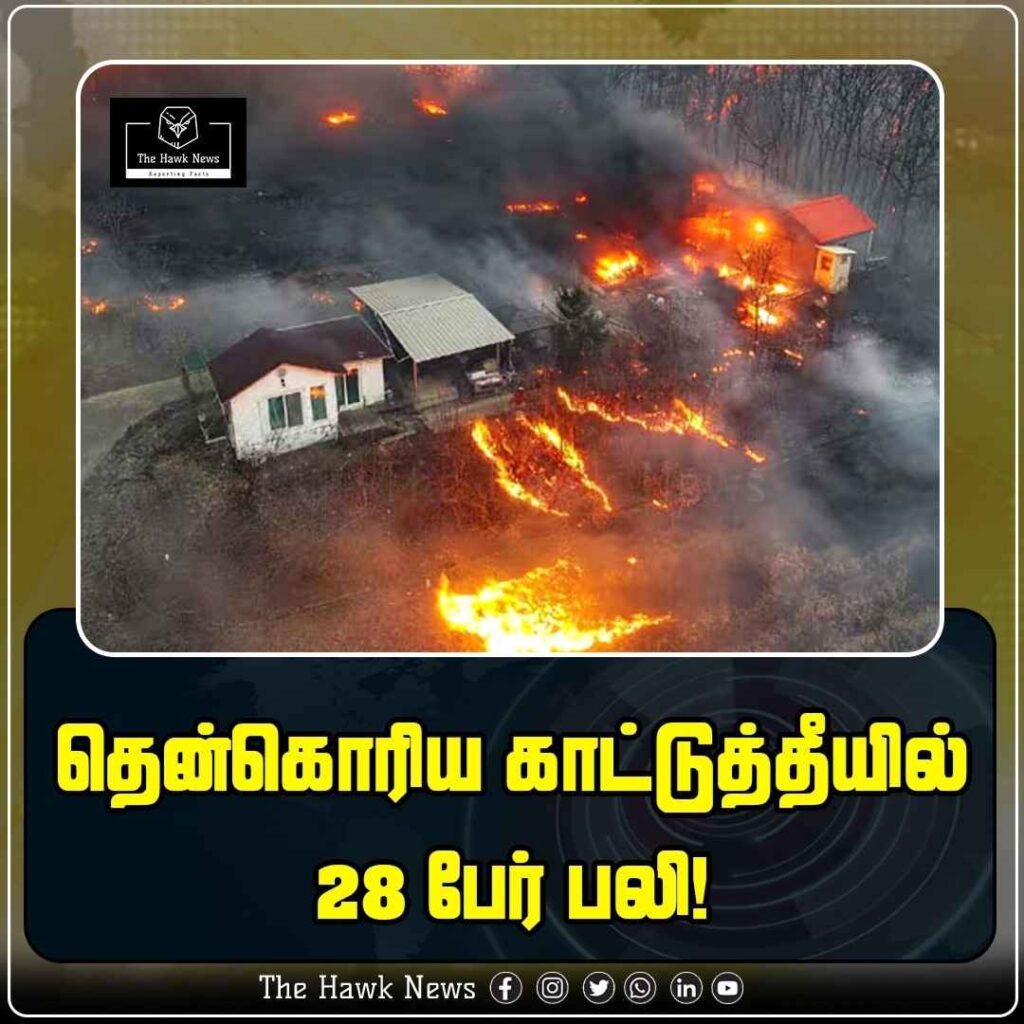 28 Killed in South Korea Wildfire