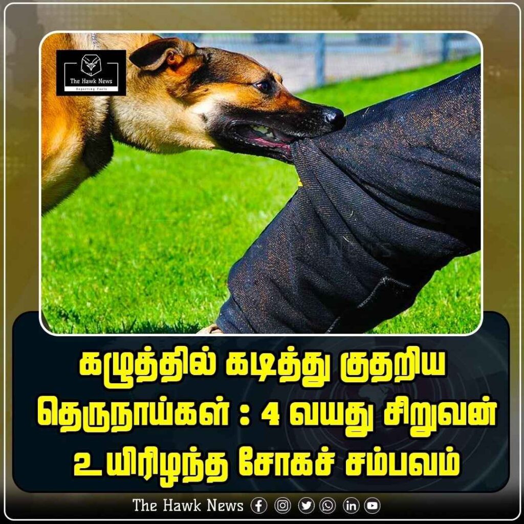 தெரு நாய்கள் கடித்ததில் 4 வயது சிறுவன் உயிரிழப்பு – சோகம் தரும் சம்பவம்