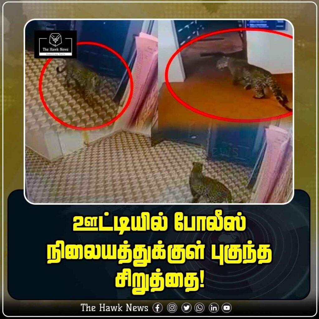 ஊட்டியில் போலீஸ் நிலையத்துக்குள் புகுந்த சிறுத்தை!