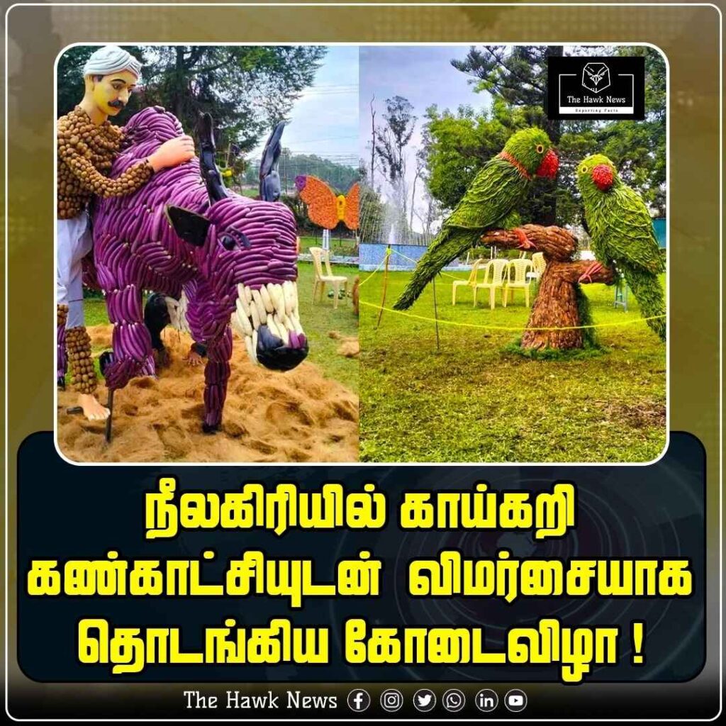 நீலகிரியில் காய்கறி கண்காட்சியுடன் விமரிசையாக தொடங்கிய கோடைவிழா !