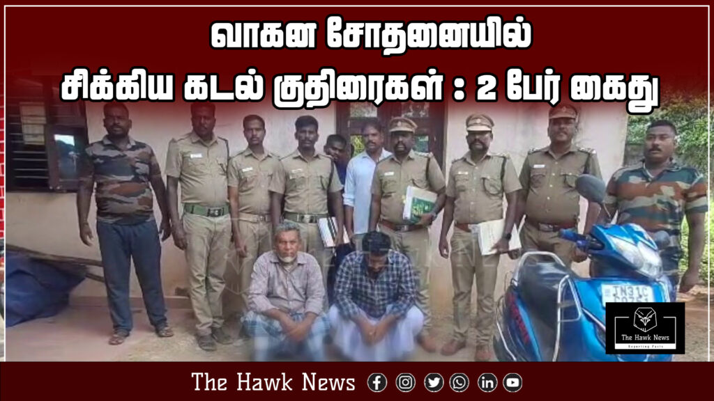 Seized seahorses during a vehicle inspection leading to the arrest of two individuals.