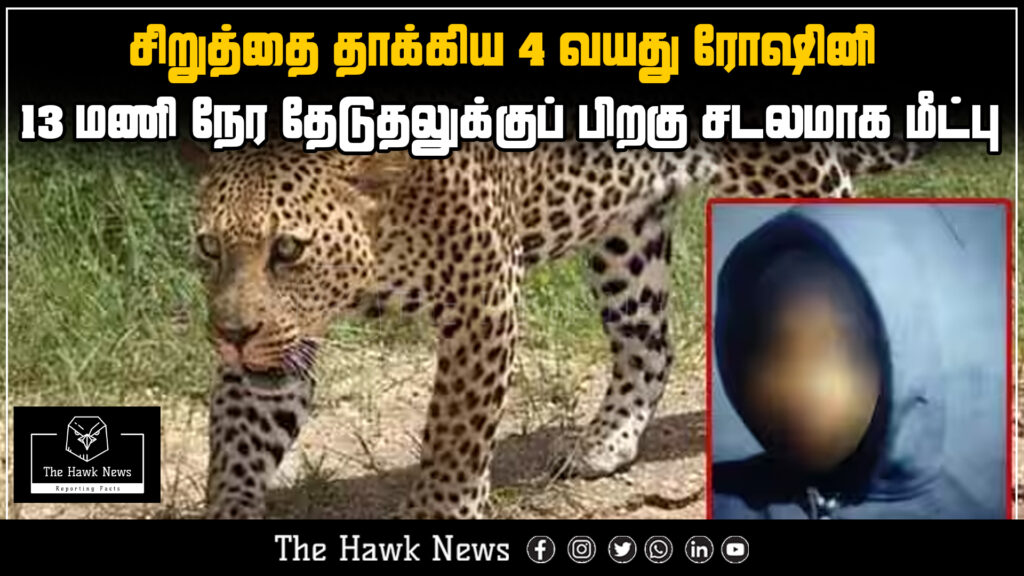 "Tragic scene as the body of 4-year-old Roshini, attacked by a leopard, is recovered after a 13-hour search operation in a forested area."