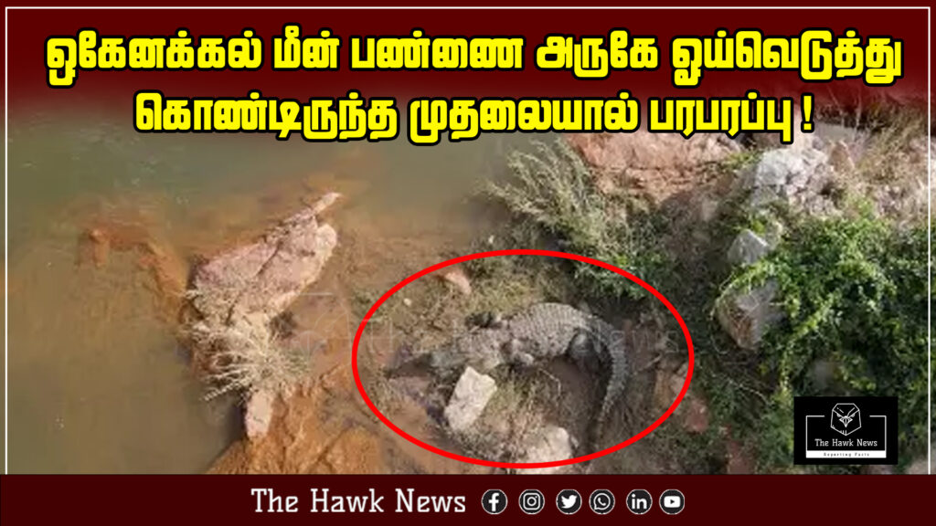 A crocodile spotted resting near a fish farm in Hogenakkal creates panic among locals.