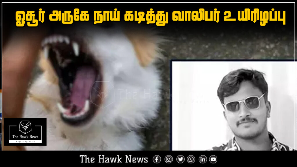 "Young man dies from dog bite incident near Hosur"
