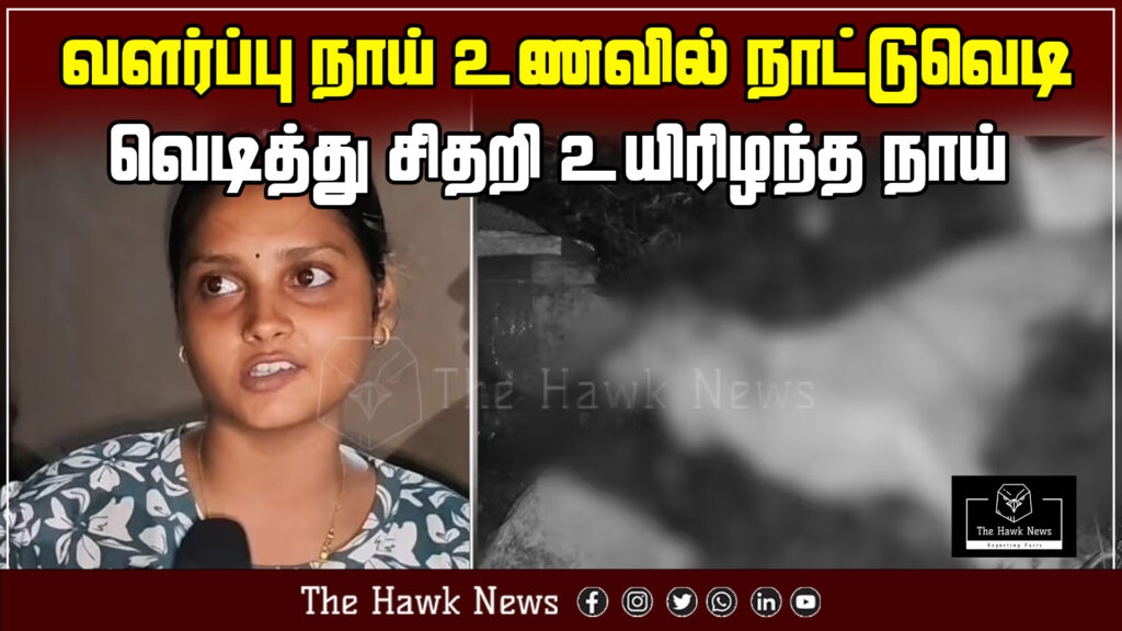 "Pet dog killed after a country-made bomb hidden in its food explodes."