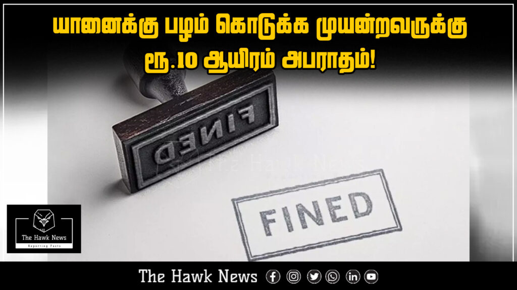 "A person fined ₹10,000 for trying to feed fruit to a wild elephant, highlighting wildlife protection enforcement."