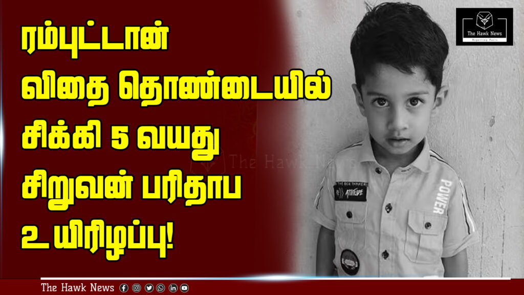 "Five-year-old boy in Nellai dies after a rambutan seed gets lodged in his throat."