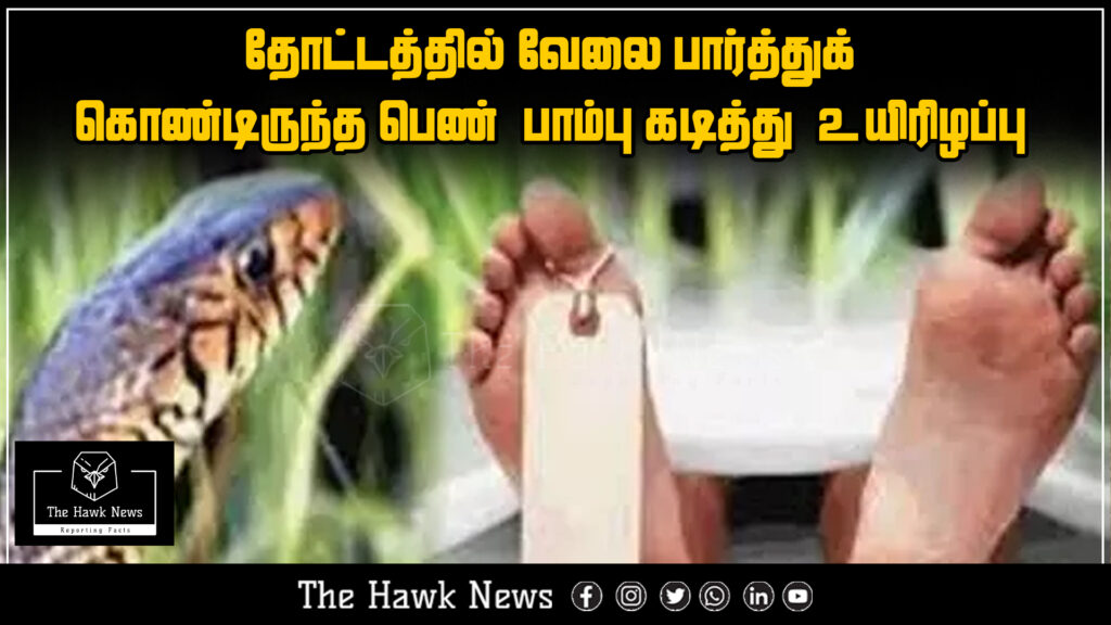 "Woman fatally bitten by a snake while working in a plantation."