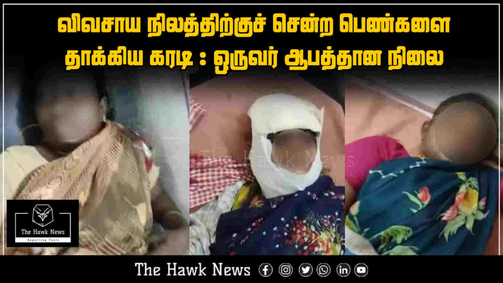 "Bear attacks women in farmland; one woman critically injured in the incident"