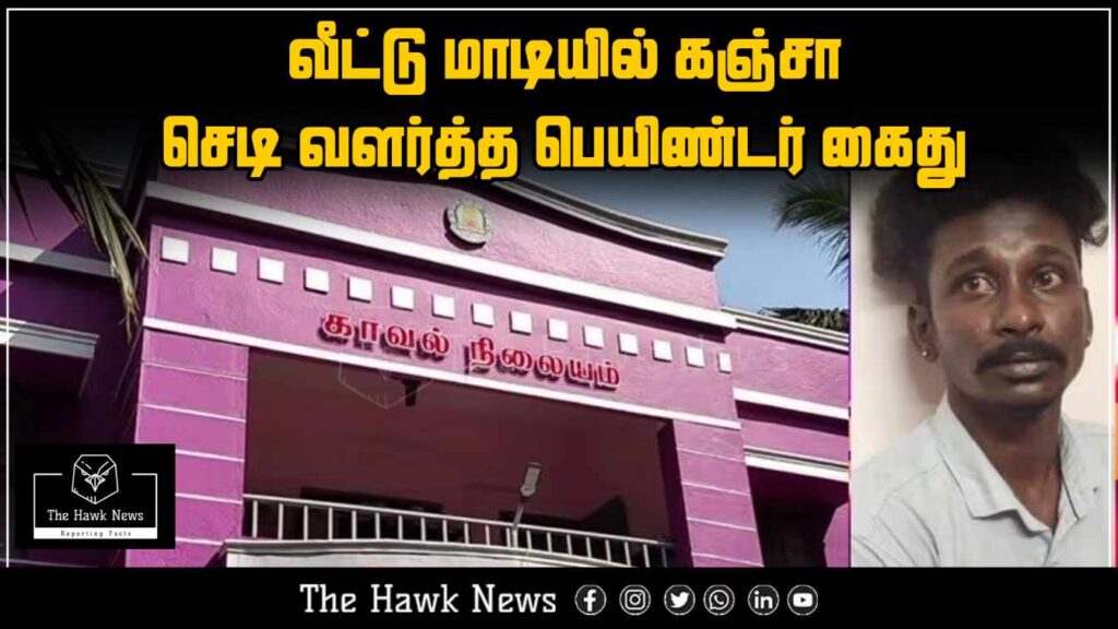 Police arrest painter for cultivating cannabis plants on rooftop terrace.